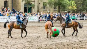 Fotorelacja z czempionatu w Stadzie Ogierów w Kętrzynie, lipiec 2023 - zdjęcie 20