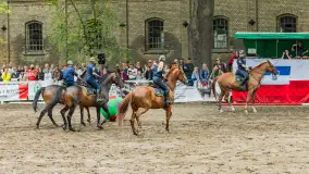 Fotorelacja z czempionatu w Stadzie Ogierów w Kętrzynie, lipiec 2023 - zdjęcie 2