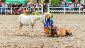 Fotorelacja z czempionatu w Stadzie Ogierów w Kętrzynie, lipiec 2023 - zdjęcie 46