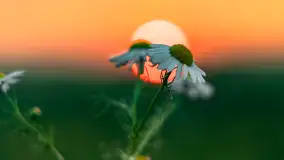 Zachód słońca w okolicach Wopławek i Kętrzyna - zdjęcie 11