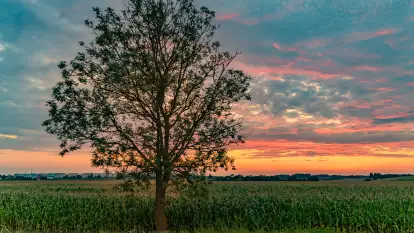 Zachód słońca w okolicach Wopławek i Kętrzyna