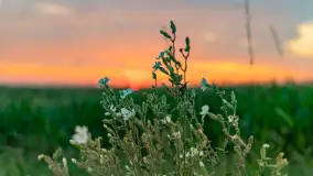 Zachód słońca w okolicach Wopławek i Kętrzyna - zdjęcie 6