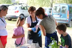 Święto Chleba Mleka i Miodu w Pieckach - zdjęcie 7