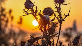 Wschód słońca we wsi Pożarki, wrzesień 2023 r. - zdjęcie 47