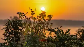 Wschód słońca we wsi Pożarki, wrzesień 2023 r. - zdjęcie 21