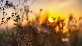 Wschód słońca we wsi Pożarki, wrzesień 2023 r. - zdjęcie 28