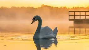Wrześniowy i mglisty wschód słońca nad jeziorem Mój - zdjęcie 4