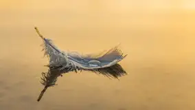 Wrześniowy i mglisty wschód słońca nad jeziorem Mój - zdjęcie 48