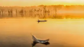 Wrześniowy i mglisty wschód słońca nad jeziorem Mój - zdjęcie 40