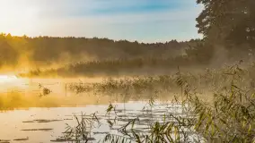 Wrześniowy i mglisty wschód słońca nad jeziorem Mój - zdjęcie 42