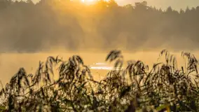Wrześniowy i mglisty wschód słońca nad jeziorem Mój - zdjęcie 67