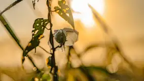 Wrześniowy i mglisty wschód słońca nad jeziorem Mój - zdjęcie 62