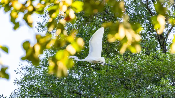 Piękno Sapiny w okolicach Pozezdrza, wrzesień 2023 r. - zdjęcie 5