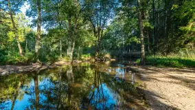 Piękno Sapiny w okolicach Pozezdrza, wrzesień 2023 r. - zdjęcie 1