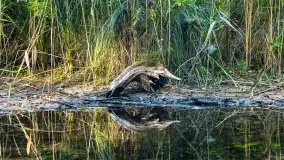 Piękno Sapiny w okolicach Pozezdrza, wrzesień 2023 r. - zdjęcie 28