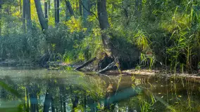 Piękno Sapiny w okolicach Pozezdrza, wrzesień 2023 r. - zdjęcie 26