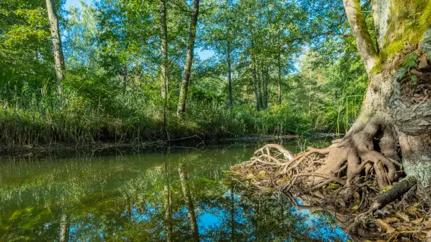 Piękno Sapiny w okolicach Pozezdrza, wrzesień 2023 r. - zdjęcie 7
