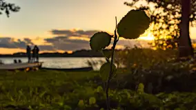 Zachód słońca nad jeziorem Mój, październik 2023 r. - zdjęcie 27