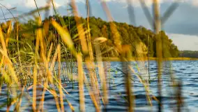 Zachód słońca nad jeziorem Mój, październik 2023 r. - zdjęcie 37