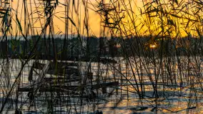 Zachód słońca nad jeziorem Mój, październik 2023 r. - zdjęcie 18