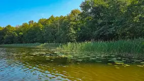 Sezon 2023 na zdjęciach... z telefonu Artura - zdjęcie 175