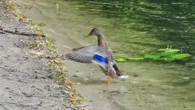 Sezon 2023 na zdjęciach... z telefonu Artura - zdjęcie 200