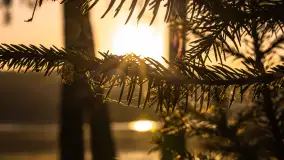 Wschód słońca nad jeziorem Iławki - zdjęcie 29