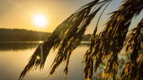 Wschód słońca nad jeziorem Iławki - zdjęcie 18