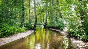 Miłośnicy Mazur - magia regionu na zdjęciach Marty Sotnik - zdjęcie 2