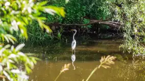 Miłośnicy Mazur - magia regionu na zdjęciach Marty Sotnik - zdjęcie 18