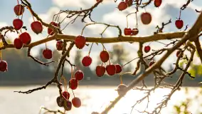 Jesień nad jeziorem Iławki, końcówka października 2023 r. - zdjęcie 18