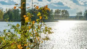 Jesień nad jeziorem Iławki, końcówka października 2023 r. - zdjęcie 11