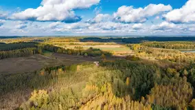 Jesień nad jeziorem Iławki, końcówka października 2023 r. - zdjęcie 23