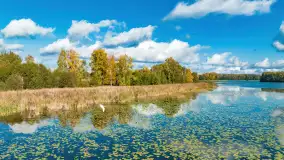 Jesień nad jeziorem Iławki, końcówka października 2023 r. - zdjęcie 35