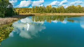 Jesień nad jeziorem Iławki, końcówka października 2023 r. - zdjęcie 20