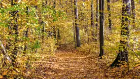 Złota mazurska jesień w Mrągowie nad jeziorem Juno - zdjęcie 40