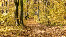 Złota mazurska jesień w Mrągowie nad jeziorem Juno - zdjęcie 17