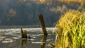 Złota mazurska jesień w Mrągowie nad jeziorem Juno - zdjęcie 8