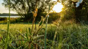 Przyrodniczy wschód słońca nad jeziorem Mażańskie - zdjęcie 25