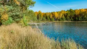 Magia mazurskiej jesieni nad jeziorem Wesołek, listopad 2023 r. - zdjęcie 6