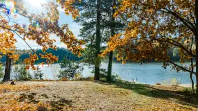 Magia mazurskiej jesieni nad jeziorem Wesołek, listopad 2023 r. - zdjęcie 2