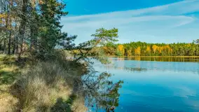 Magia mazurskiej jesieni nad jeziorem Wesołek, listopad 2023 r. - zdjęcie 44