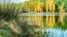 Magia mazurskiej jesieni nad jeziorem Wesołek, listopad 2023 r. - zdjęcie 46