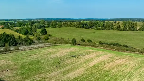 Żurawi sejmik na początku września przy jeziorze Tajty - zdjęcie 7