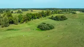 Żurawi sejmik na początku września przy jeziorze Tajty - zdjęcie 16