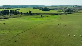 Żurawi sejmik na początku września przy jeziorze Tajty - zdjęcie 12