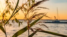 Wrześniowy zachód słońca nad jeziorem Dargin - zdjęcie 23
