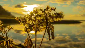 Wschód słońca nad jeziorem Dobskim, listopad 2023 r. - zdjęcie 41