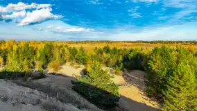 Fotograficzne podsumowanie jesieni 2023 cz. I - zdjęcie 33