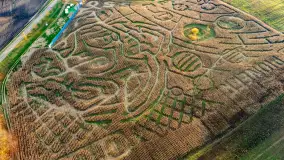 Fotograficzne podsumowanie jesieni 2023 cz. I - zdjęcie 12